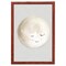 12" x 16" Happy Little Moon I Framed Wall Art, Contemporary Home Décor for Baby or Child's Room, Glass Facing and Hanging Hardware Included